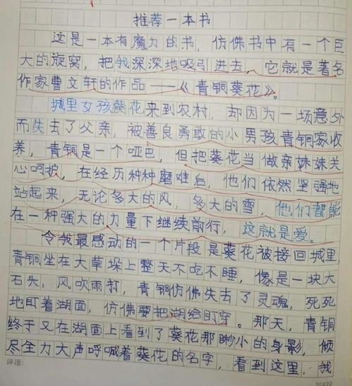 推荐但是还有书籍的作文(推荐的书的作文)