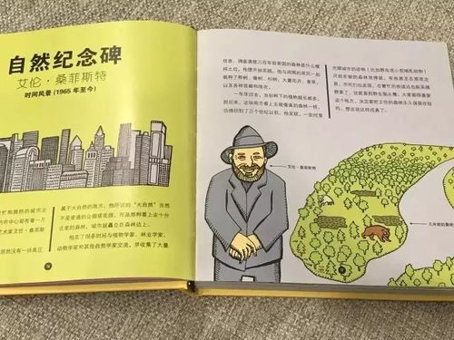 艺术人物创意书籍推荐理由(推荐艺术类的书)