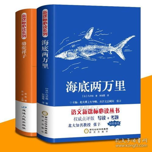 带你阅读古籍的书籍推荐(带你阅读古籍的书籍推荐书目)