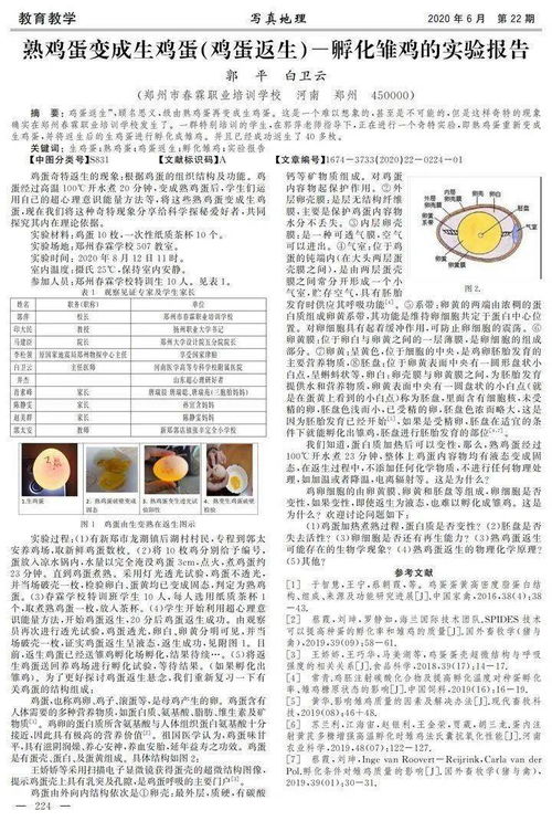 食品健康与卫生书籍推荐(食品健康与卫生论文)