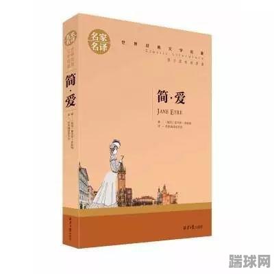 简爱书籍推荐视频(简爱作品推荐)