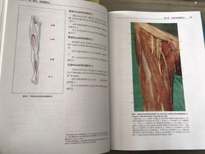 肌骨康复推荐书籍(肌骨康复推荐书籍)