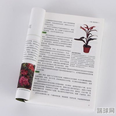 推荐阳台种植方法的书籍(手把手教你阳台种菜书籍)