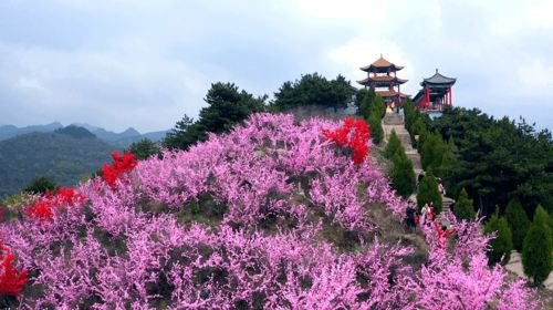 神龙下山，红果免费短剧的魅力之旅，神龙下山，红果免费短剧的魅力之旅