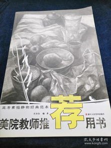 北方素描老师推荐的书籍(北方生活素描)