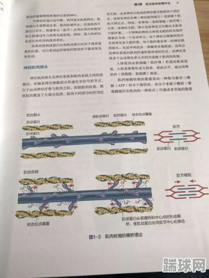 解剖学书籍app推荐(解剖学的书籍有哪些比较好的)