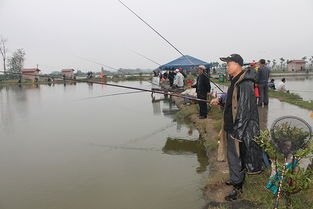 免费观看的钓鱼短剧，29集精彩呈现，免费观看，29集精彩钓鱼短剧