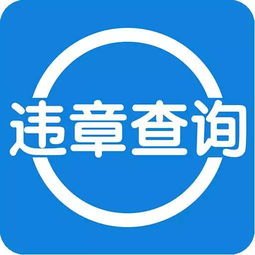 石家庄交通违章查询官方网站，石家庄交管网违章查询