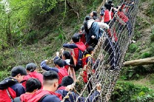 短剧荒野求生，免费观看的生存艺术，荒野求生，免费观看的生存艺术短剧