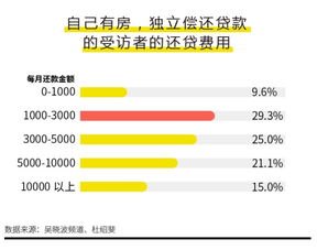 双十二房地产短剧，市场风云与消费决策的挑战